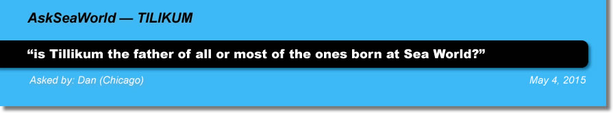AskSeaWorld - Tilikum