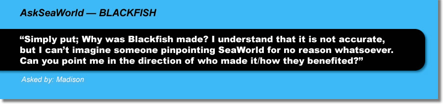 AskSeaWorld - Blackfish