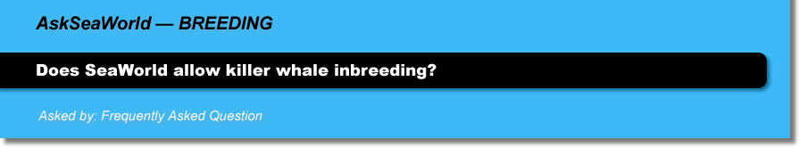 AskSeaWorld - Breeding