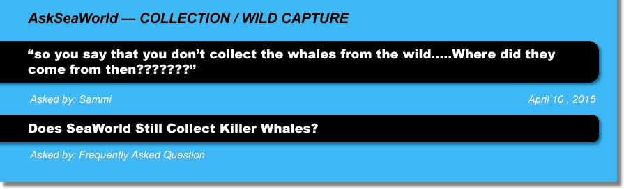 AskSeaWorld - Collection / Wild Capture