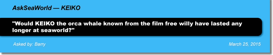 AskSeaWorld - Keiko
