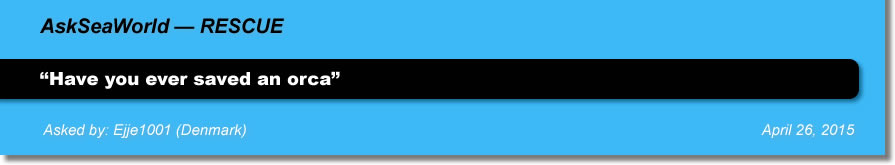 AskSeaWorld - Rescue