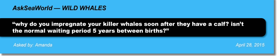 AskSeaWorld - Wild Whales