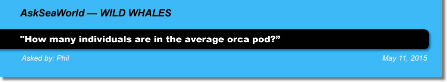 AskSeaWorld - Wild Whales