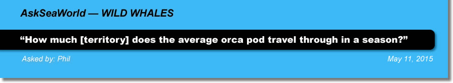 AskSeaWorld - Wild whales