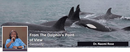 Dr. Naomi Rose - From The Dolphin's Point of View
