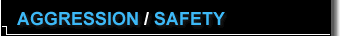 Aggression | Safety