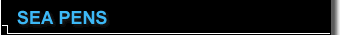 Sea Pens
