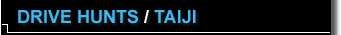 Drive Hunts | Taiji