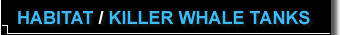 Killer Whale Tanks