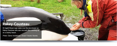 Dr. Ingrid Visser - Orca Research Trust